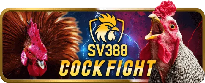 Hỗ trợ Trực tuyến 24/7 của ok88 bet
